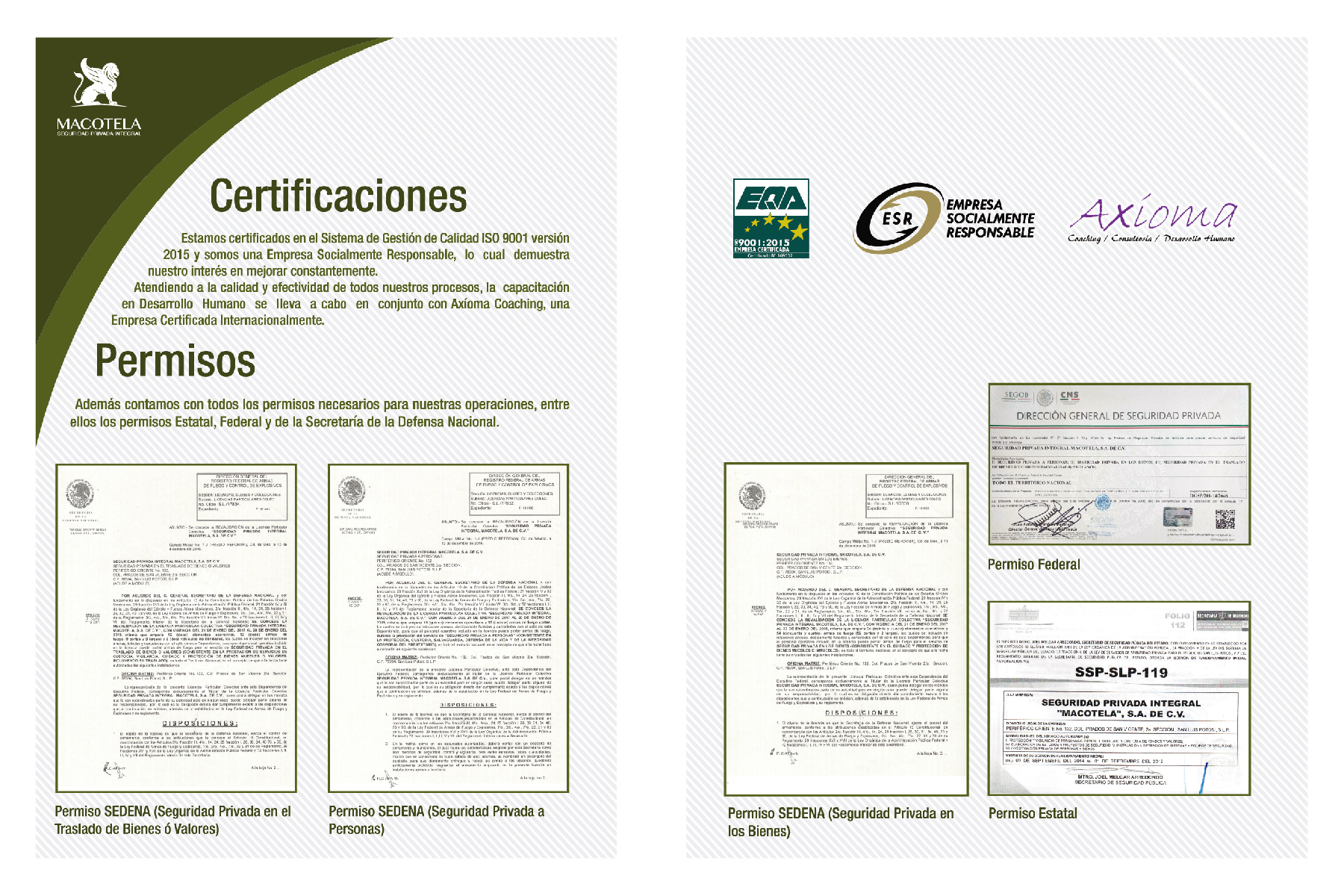 Diseño de folleto Imagen 1